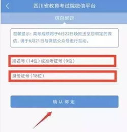 2019年四川省高考成績(jī)查詢(xún)攻略